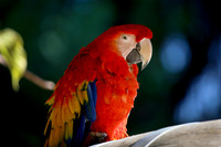 IMG_4855b
