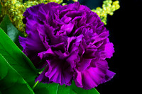 flower124a