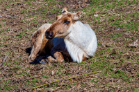 IMG_3957a