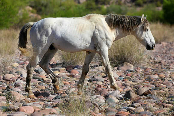 IMG_9628az