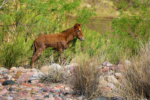 IMG_9549az