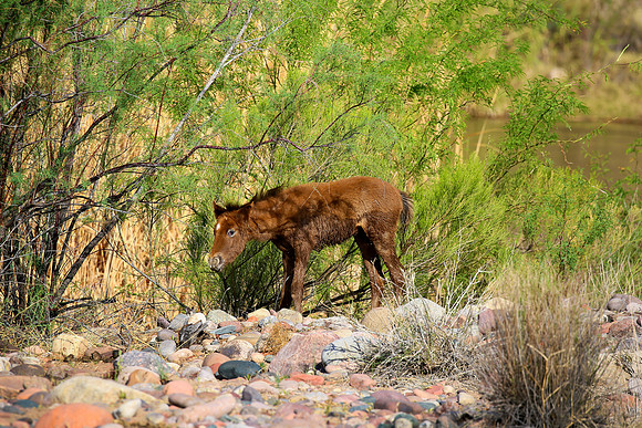 IMG_9572az