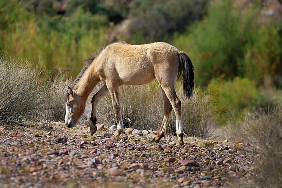 IMG_9644az