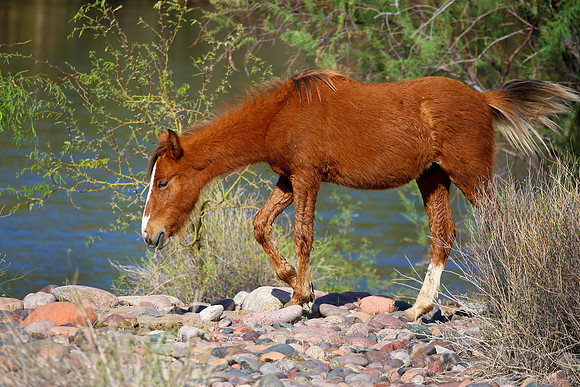 IMG_9580az