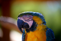 IMG_5170b